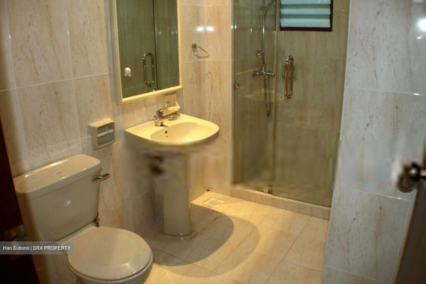 Chancery Esquire (D11), Apartment #620616131